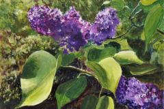 Lilacs Violet