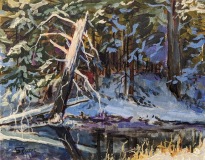 13-Dead-Pine-in-Winter-Sun-8x10-Jan-29-2024