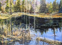 40-Pond-Reflections-30x40-July-22-2024