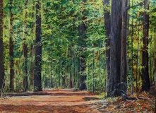 39-Forest-Walk-30x40-May-23-2023